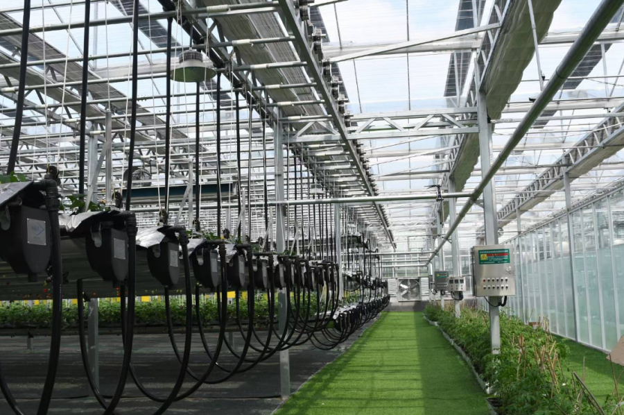 Guojin Leasing Agriculture Project.png